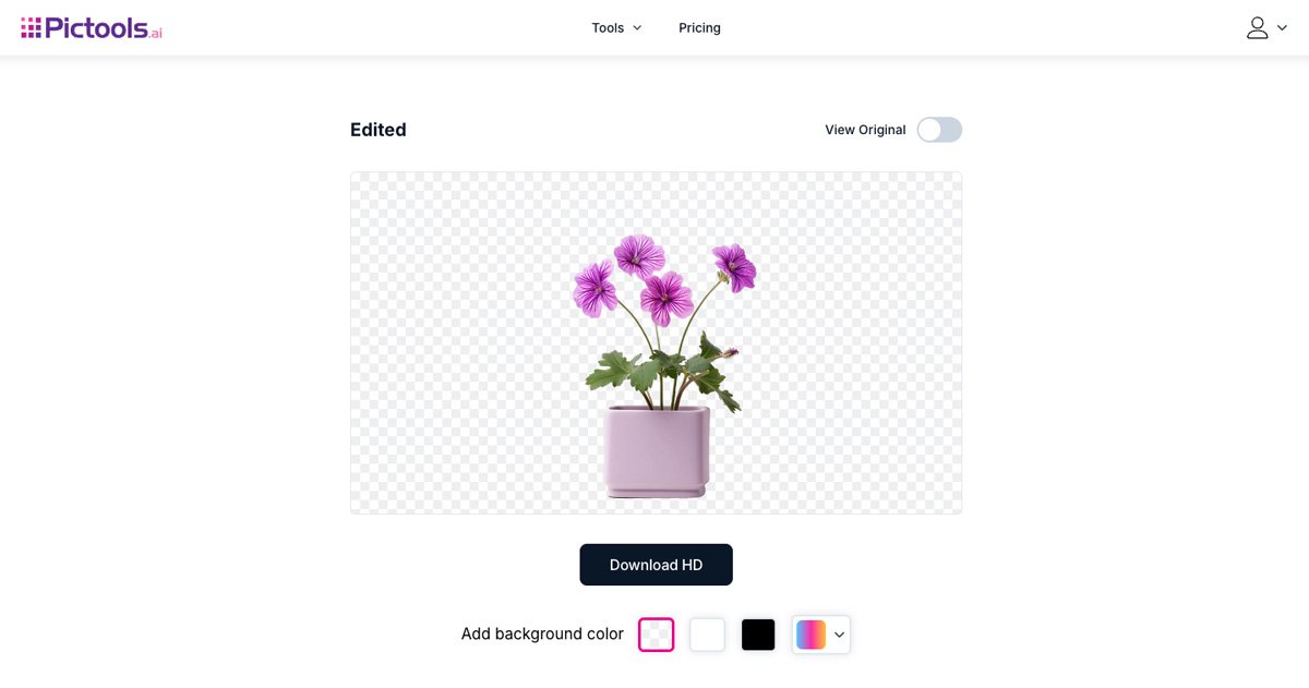 Remove White Background from Image Online Step 2 (Final)